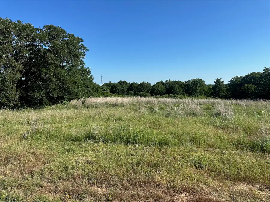 350 Division Lane, Poolville, TX 76487 - #3