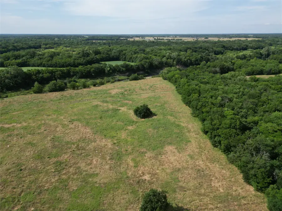 57 acres Cr 3505, Pecan Gap, TX 75469 - #2