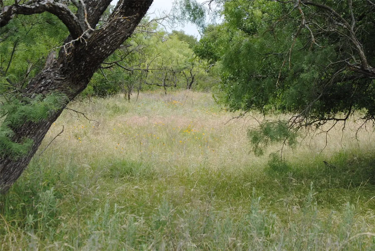 TBD Cr 127, Rising Star, TX 76857 - #1
