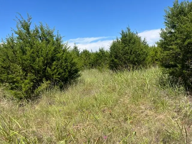 707 County Road 426, Purmela, TX 76566 - #3