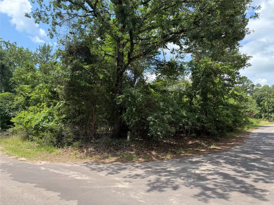 TBD King Lake Road, Scroggins, TX 75480 - #2