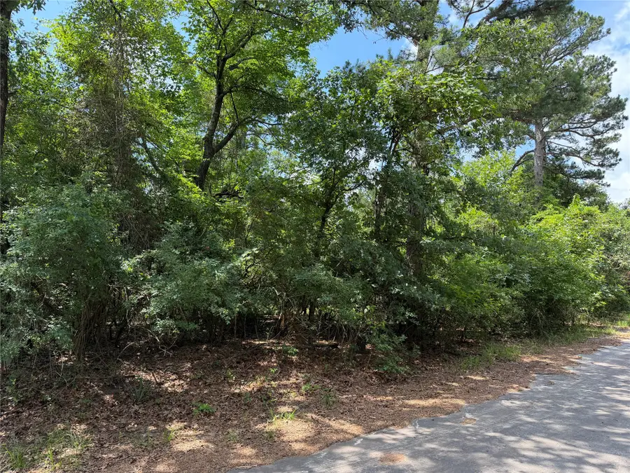 TBD King Lake Road, Scroggins, TX 75480 - #3