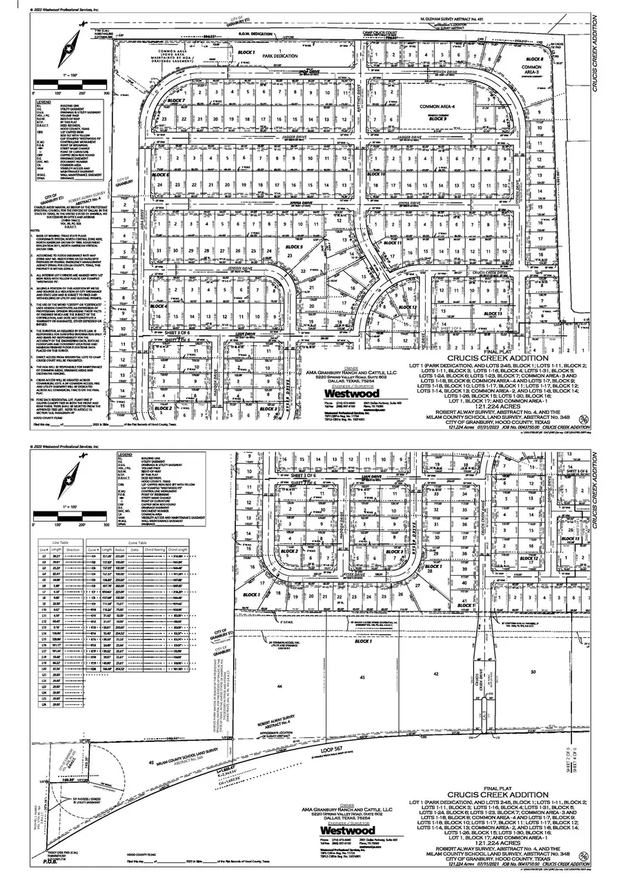 3101 Camp Crucis Court, Granbury, TX 76048 - #3