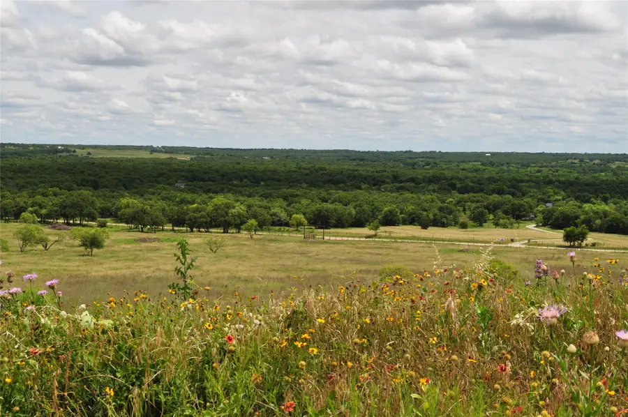 1849 Two Bush Road, Perrin, TX 76486 - #3