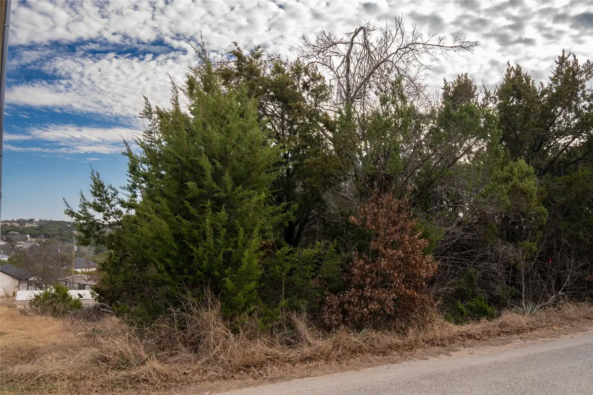 917 Bobcat Trail, Granbury, TX 76048 - #1