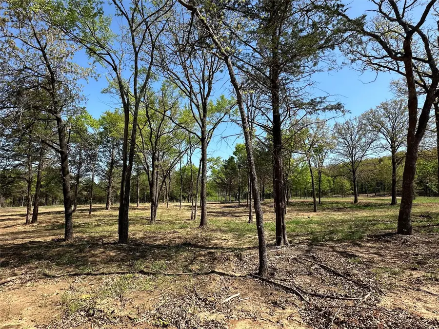 TBD Lot 5 Cr-194, Gainesville, TX 76240 - #2