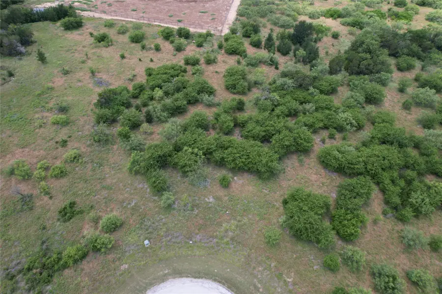 1393 Indigo Bush Court, Possum Kingdom Lake, TX 76449 - #2