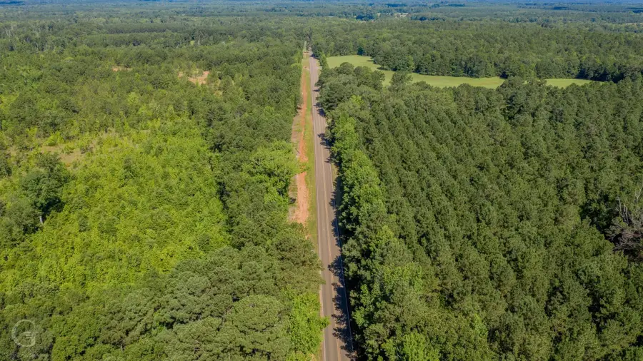 26819 Hwy 157, Shongaloo, LA 71072 - #2