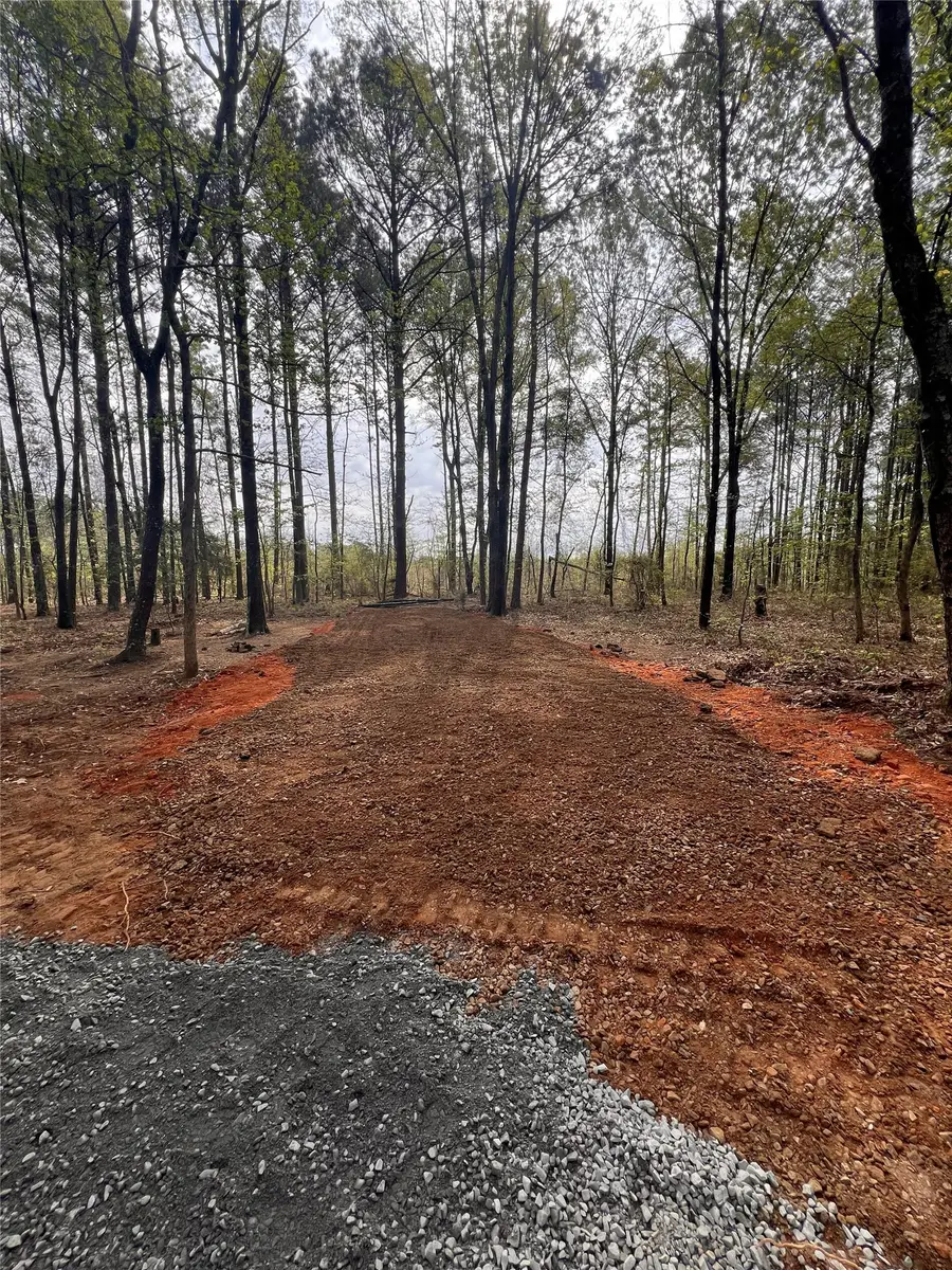 26819 Hwy 157, Shongaloo, LA 71072 - #3