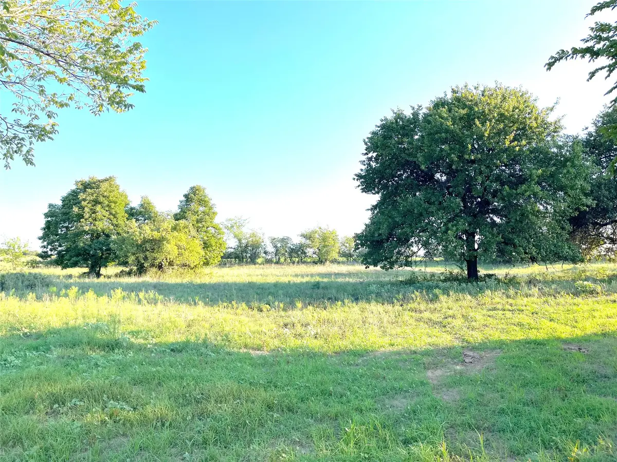 Lot 62 Kilkenny Road, Poolville, TX 76487 - #1