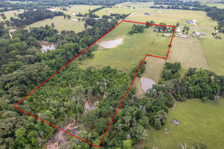 881 Vz County Road 4605, Ben Wheeler, TX 75754 - #3
