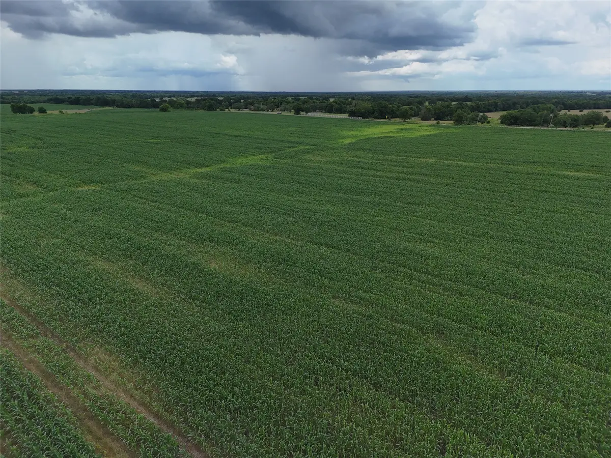 150001 Fm 198, Enloe, TX 75441 - #1