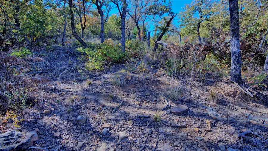 Lot 18 Scenic Hill Drive, Bowie, TX 76230 - #3