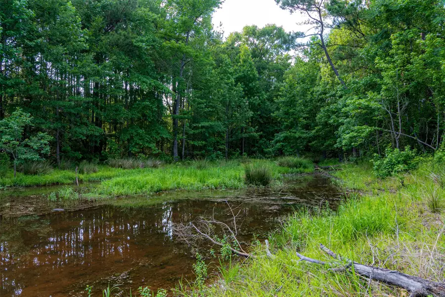 00 Farm To Market Road 747, Jacksonville, TX 75766 - #2