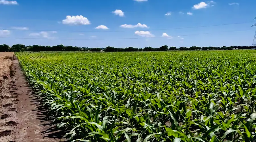 9775 County Road 505, Alvarado, TX 76009 - #3