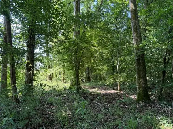 949 Ford Road, Homer, LA 71040