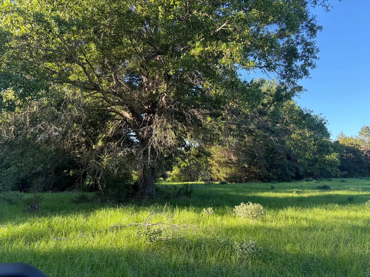 289 Fcr 261, Oakwood, TX 75855 - #1