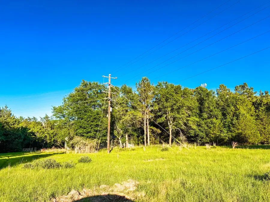 289 Fcr 261, Oakwood, TX 75855 - #2