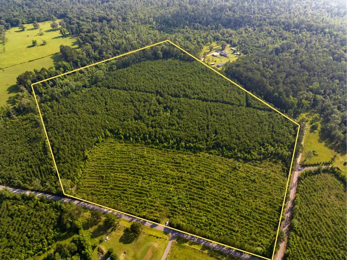 T-1 Ellis West Road, Pitkin, LA 70656 - #1