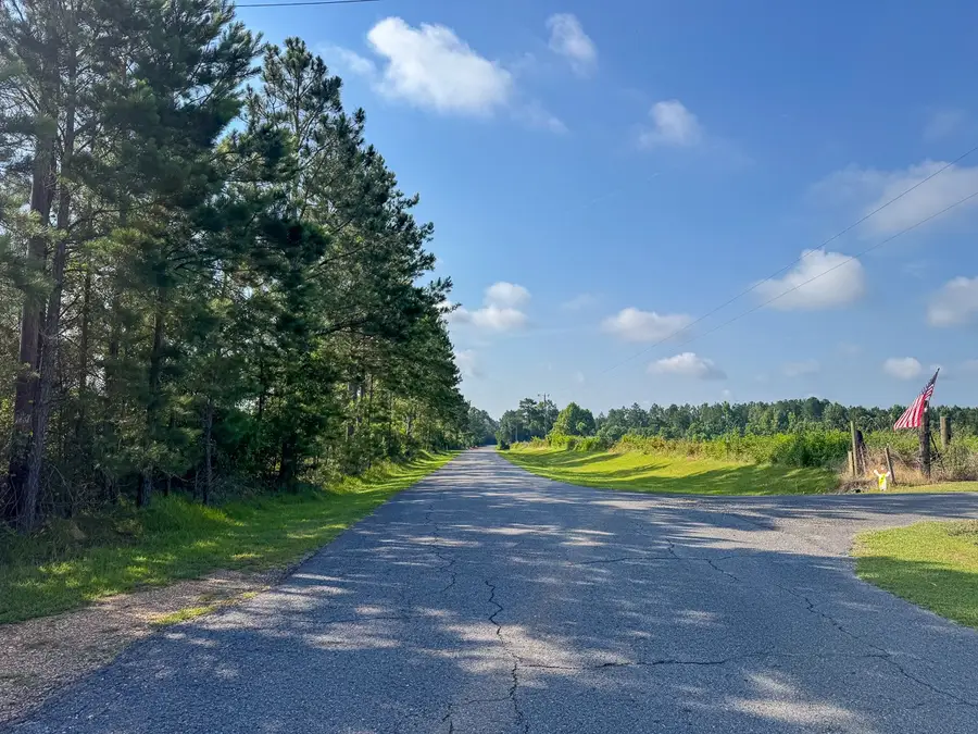 T-2 Ellis West Road, Pitkin, LA 70656 - #3