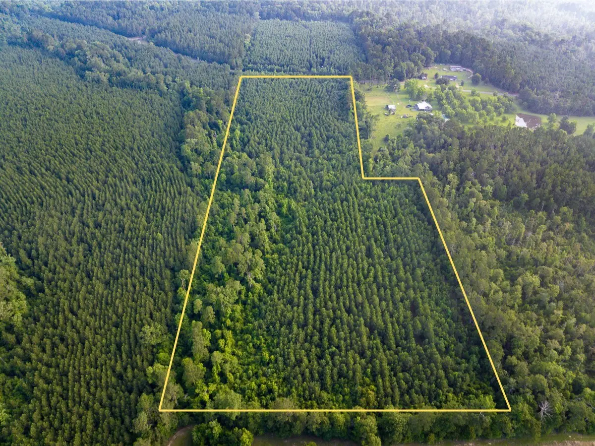 T-1 Dido Loop, Pitkin, LA 70656 - #1