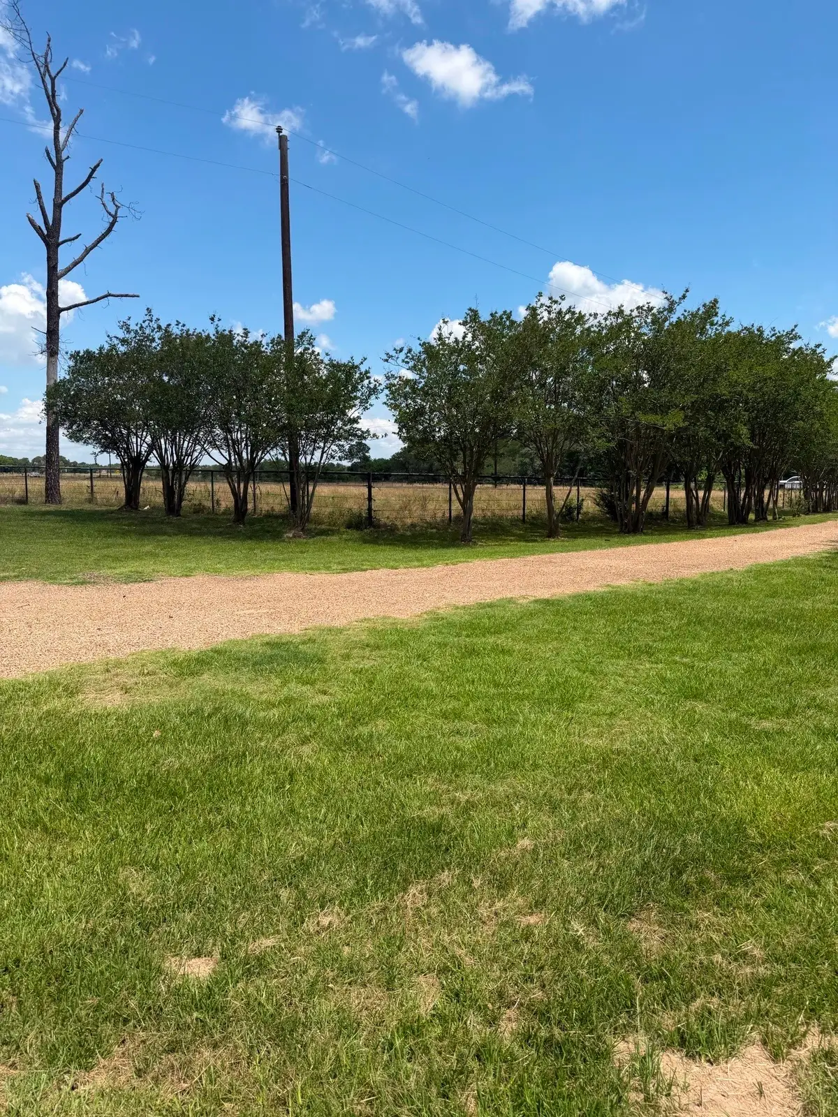 12225 Fm 429, Terrell, TX 75161 - #1