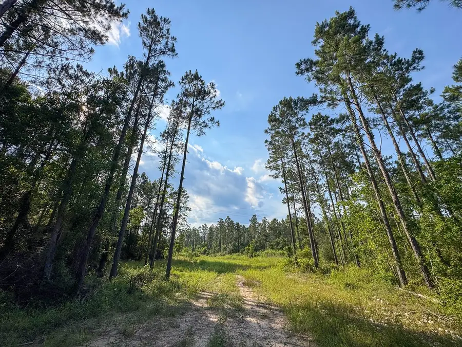 0 Highway 165, Kinder, LA 70648 - #3