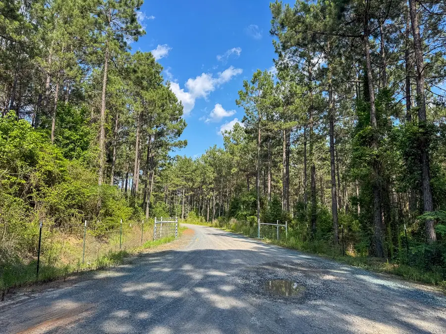 0 Sam Booker Road, Mansfield, LA 71052 - #3