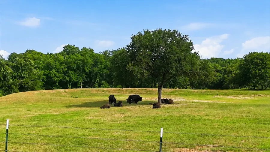 579 County Road 4599, Boyd, TX 76023 - #3
