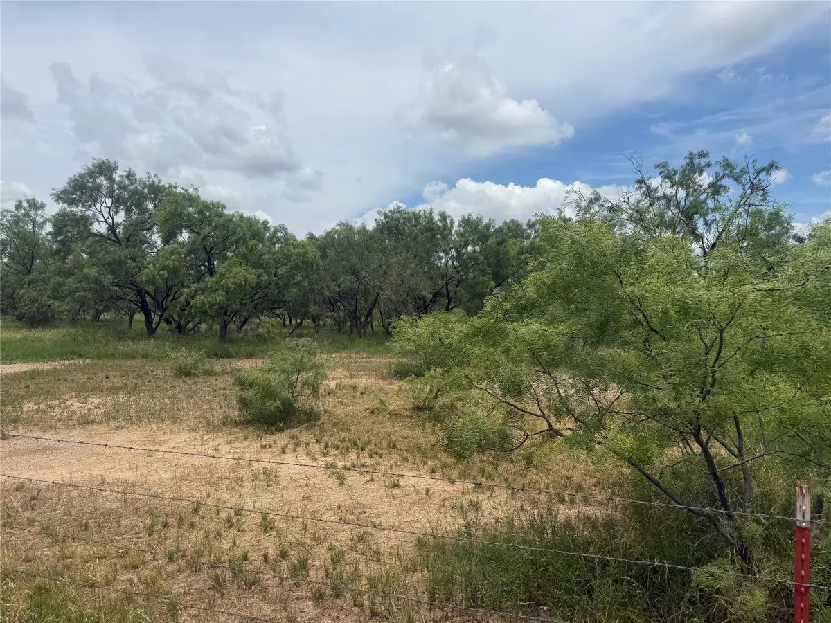 TBD Coppic Ranch Road, Brownwood, TX 76801 - #1