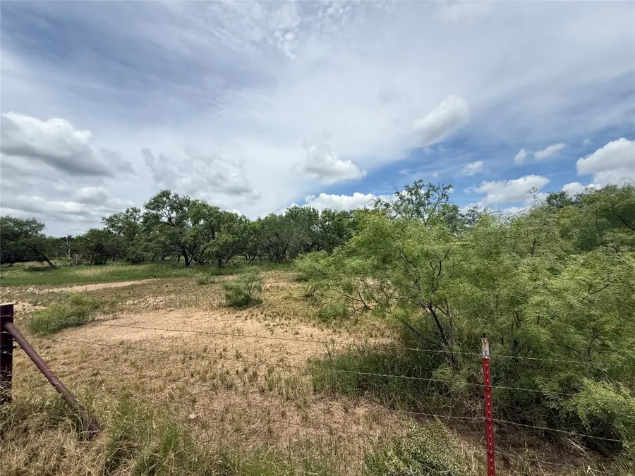 TBD Coppic Ranch Road, Brownwood, TX 76801 - #2