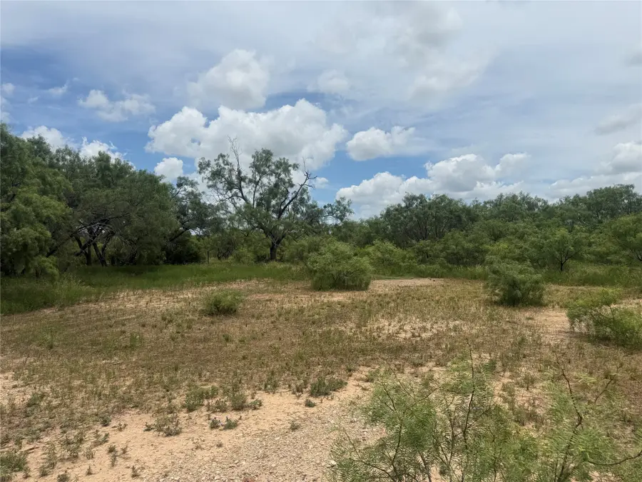 TBD Coppic Ranch Road, Brownwood, TX 76801 - #3