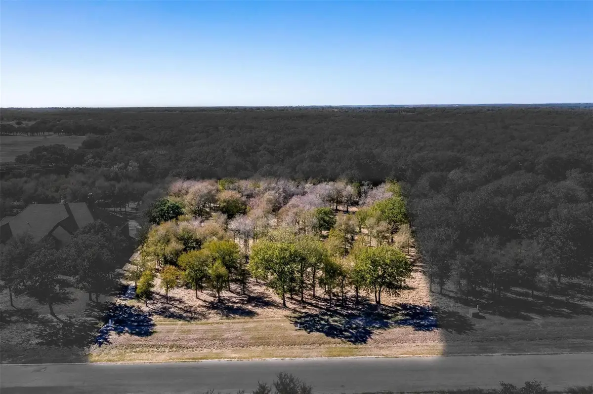 332 Sugartree Circle, Lipan, TX 76462 - #1