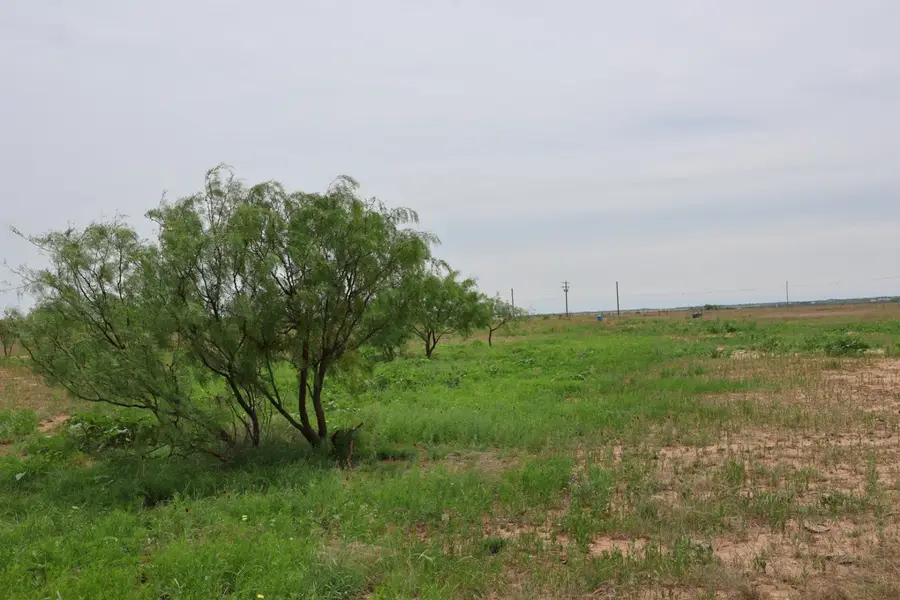 13558 County Road 440, Merkel, TX 79536 - #2