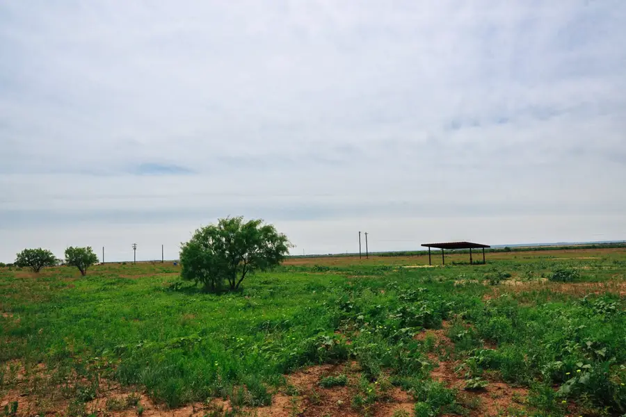 13558 County Road 440, Merkel, TX 79536 - #3