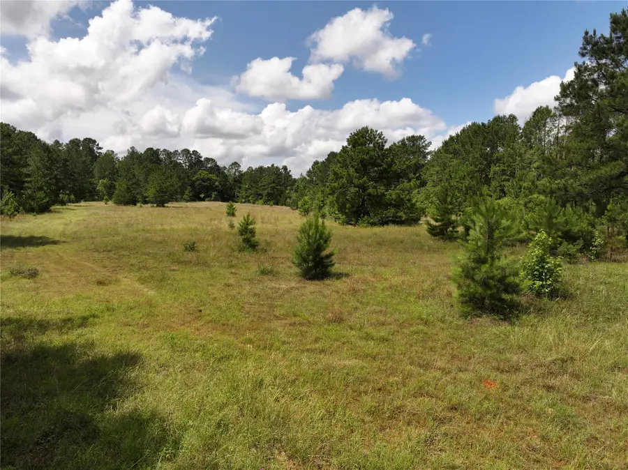 na Cr 3050, Colmesneil, TX 75938 - #3