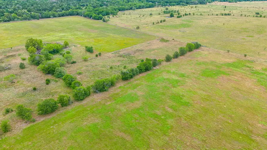 8365 Fm 642, Purdon, TX 76679 - #2