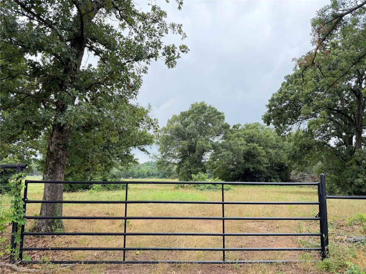 TBD Fm 1000, Cookville, TX 75558 - #1