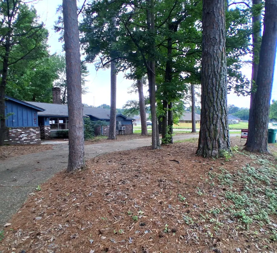 207 Wildwood Drive, Texarkana, TX 75501 - #3