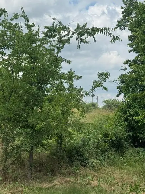 000 County Road 4219, Decatur, TX 76234 - #2