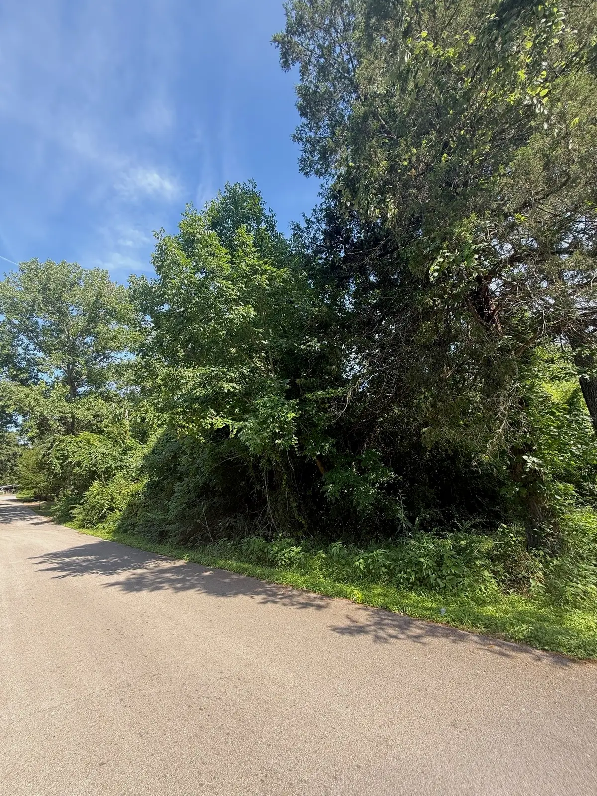 132 Ridgewood Drive, Tool, TX 75143 - #1