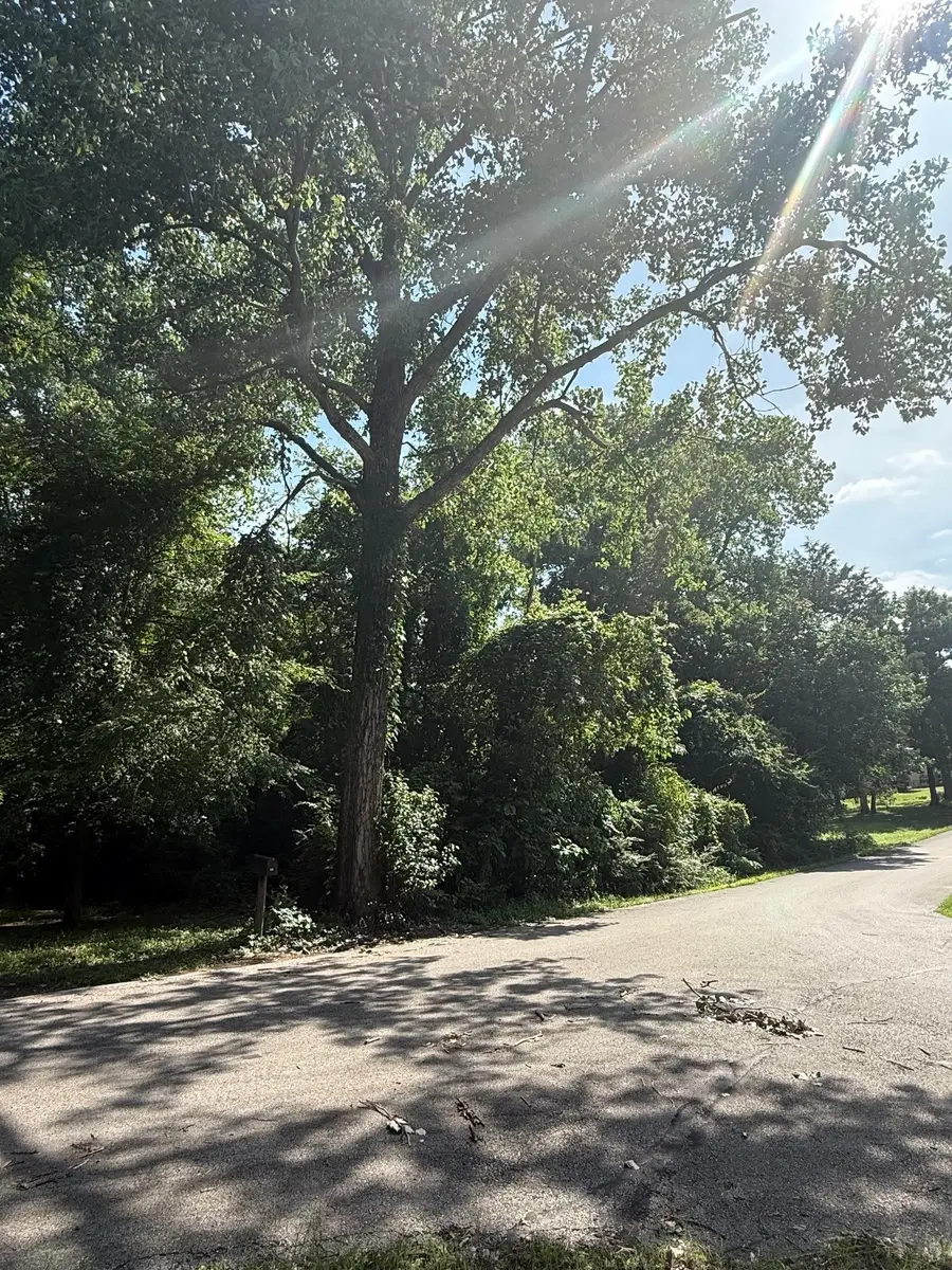 132 Ridgewood Drive, Tool, TX 75143 - #3