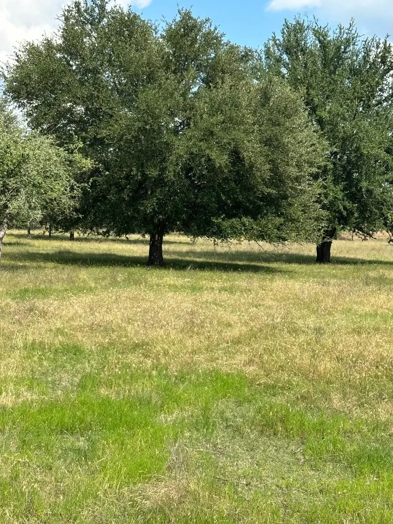 454 Hcr 2129 W, Whitney, TX 76692 - #2