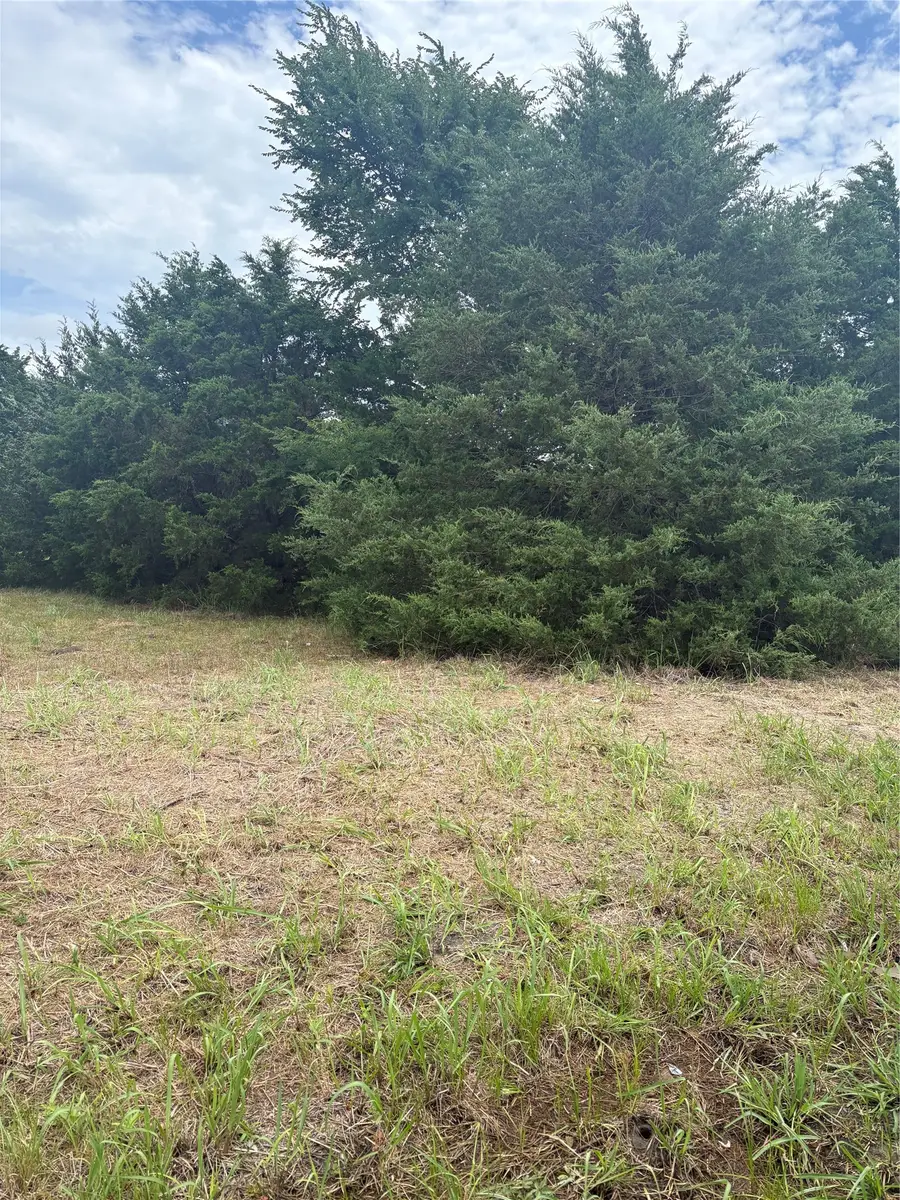 234 County Road 3501, Greenville, TX 75402 - #3