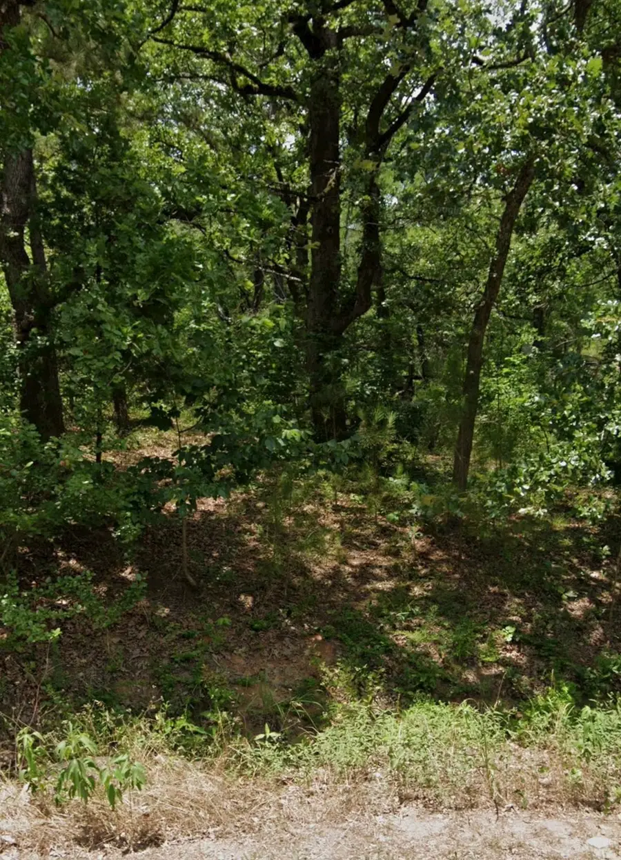 5343 Sam Bass, Log Cabin, TX 75074 - #3