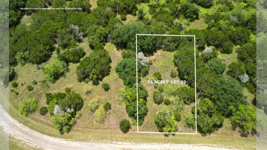 44099 Cedar Hill Drive, Whitney, TX 76692 - #2
