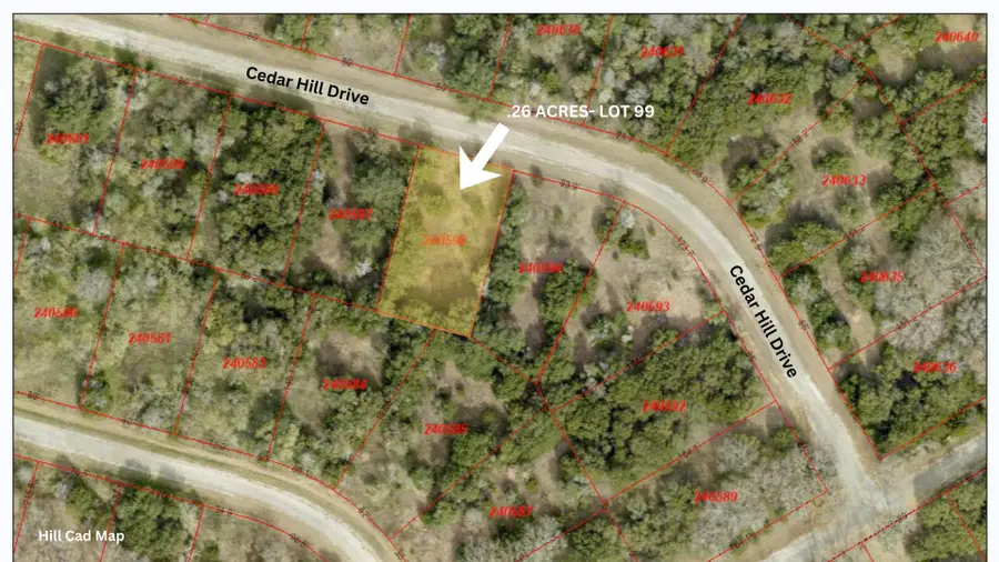 44099 Cedar Hill Drive, Whitney, TX 76692 - #3