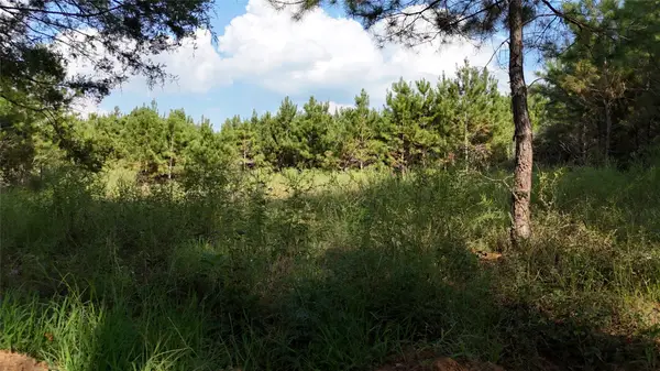 TBD County Road 3121, Long Branch, TX 75669