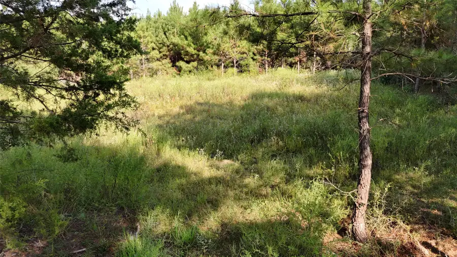 TBD County Road 3121, Long Branch, TX 75669 - #2