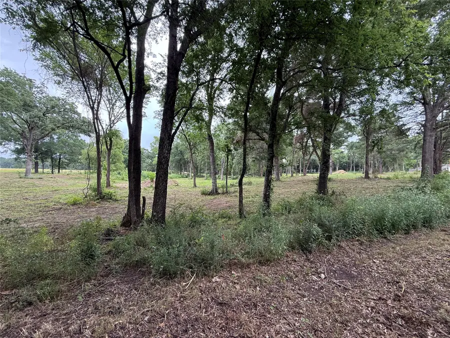 210 Livingston Street, Edgewood, TX 75117 - #2